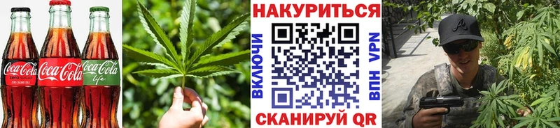 Cannafood конопля  Реутов 