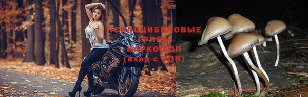 круглые Баксан
