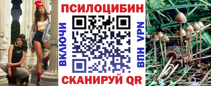 где купить наркоту  Реутов  Галлюциногенные грибы MAGIC MUSHROOMS 